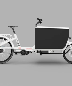 Smart Pedal-Assist Electric Bicycles