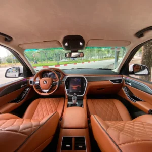 Change interior color of VinFast Lux A car